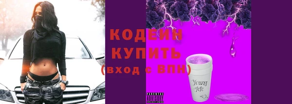 стафф Бородино