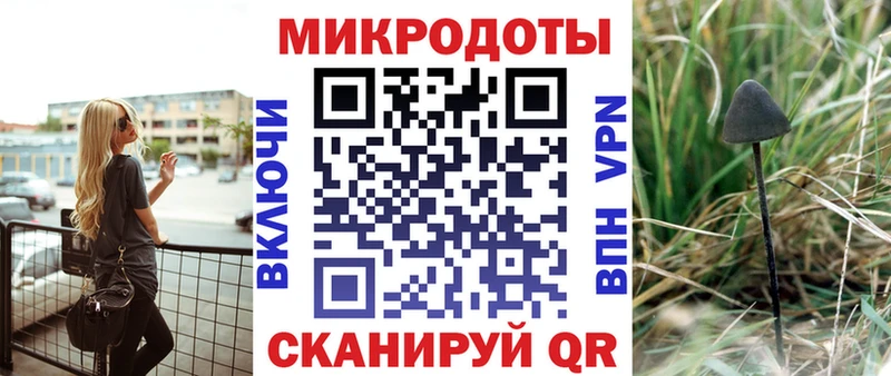 Псилоцибиновые грибы Psilocybe  Инта 