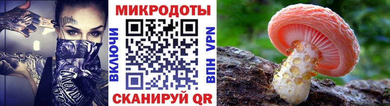 Галлюциногенные грибы Cubensis Инта
